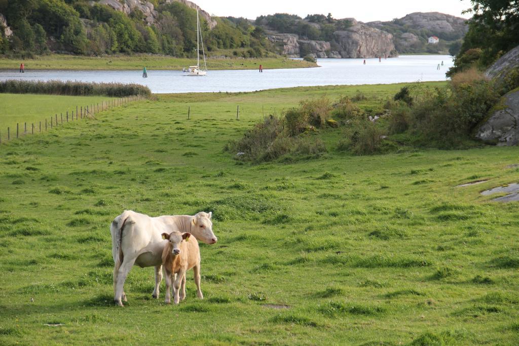Ramsviks Overgard Ostello Hunnebostrand Esterno foto