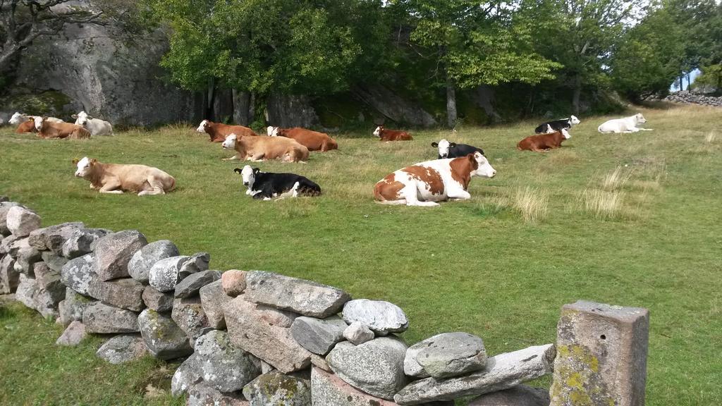 Ramsviks Overgard Ostello Hunnebostrand Esterno foto